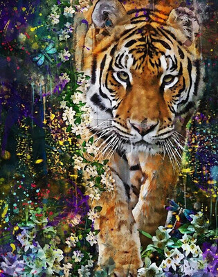 Wildlife