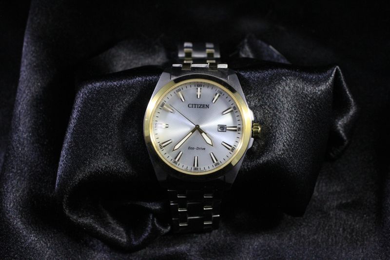 Citizen Peyten Watch