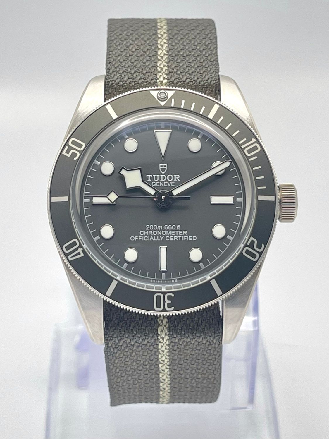 Tudor Black Bay 58 39mm 925 Silver 79010SG Taupe Dial NATO Strap Papers 2022