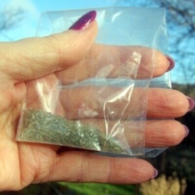 4 gm Cheap Moldavite DUST Star Born Creation Crystal Genuine Authentic