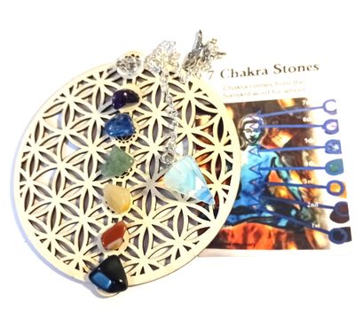 Flower of Life Crystal Ascension Healing Grid & Pendulum For You, Friends, Pets