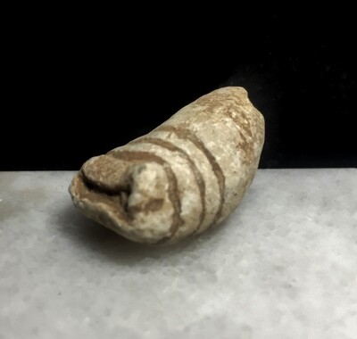 JUST ADDED ON 7/9 - GETTYSBURG / FIRST DAY'S BATTLE / JUST WEST OF WILLOUGHBY RUN AND MACPHERSON'S RIDGE - ROSENSTEEL FAMILY COLLECTION - Fired .58 Caliber Bullet JUST ADDED ON 7/9 - GETTYSBURG / FIRST DAY'S BATTLE / JUST WEST OF WILLOUGHBY RUN AND MACPHERSON'S RIDGE - ROSENSTEEL FAMILY COLLECTION - Fired .58 Caliber Bullet