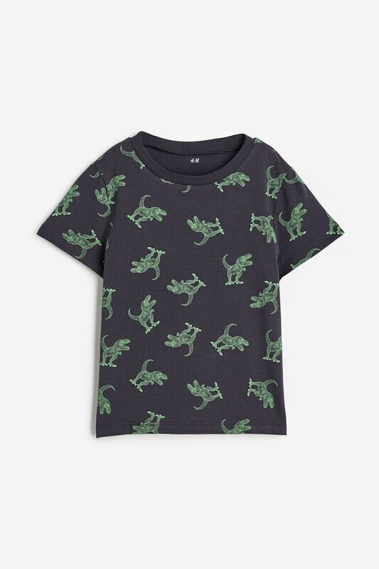 H&amp;M Boys Cotton Dinosaur T-Shirt