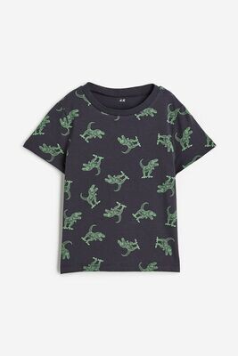 H&M Boys Cotton Dinosaur T-Shirt