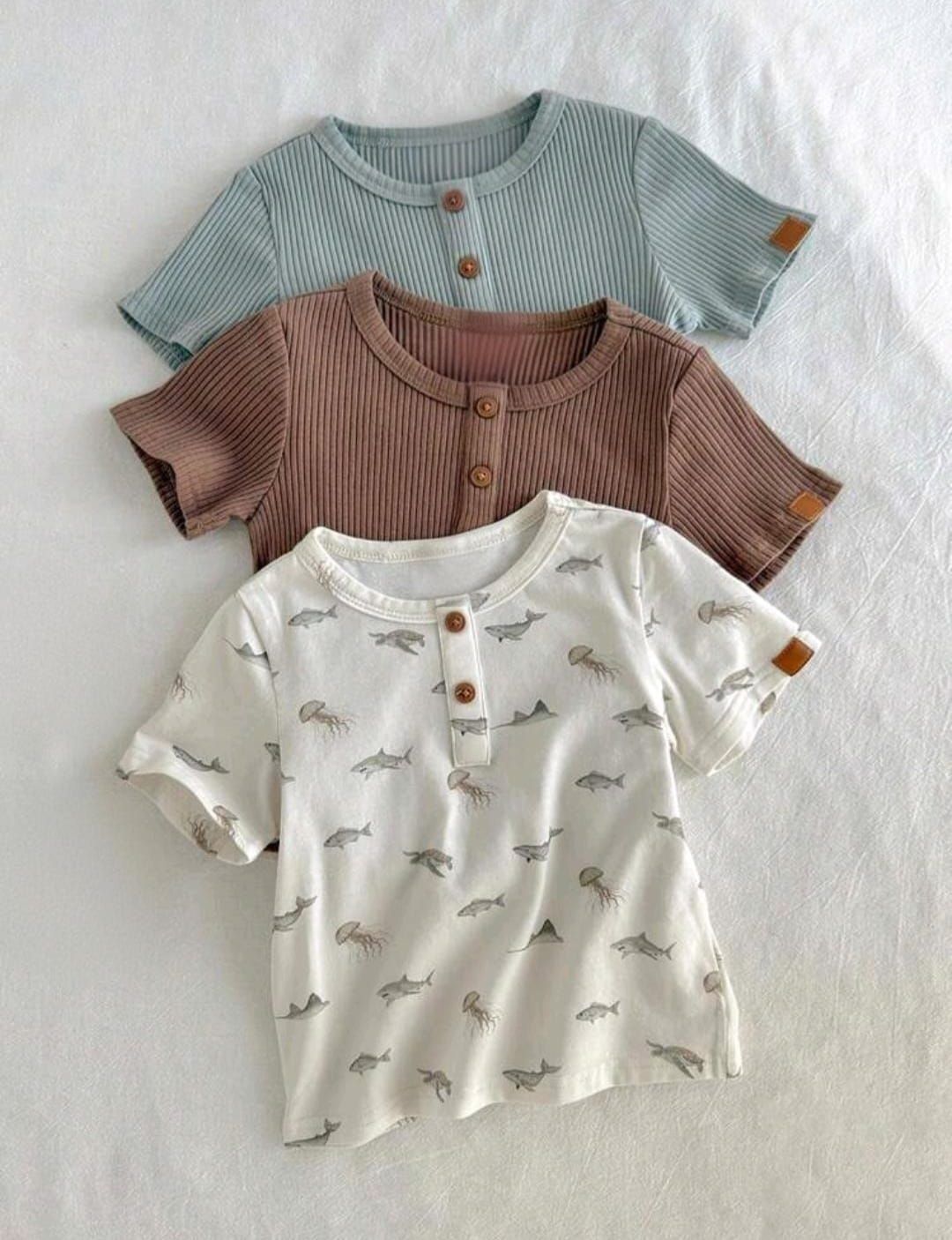 Small Foot Boys 3-Pack Cotton T-Shirt