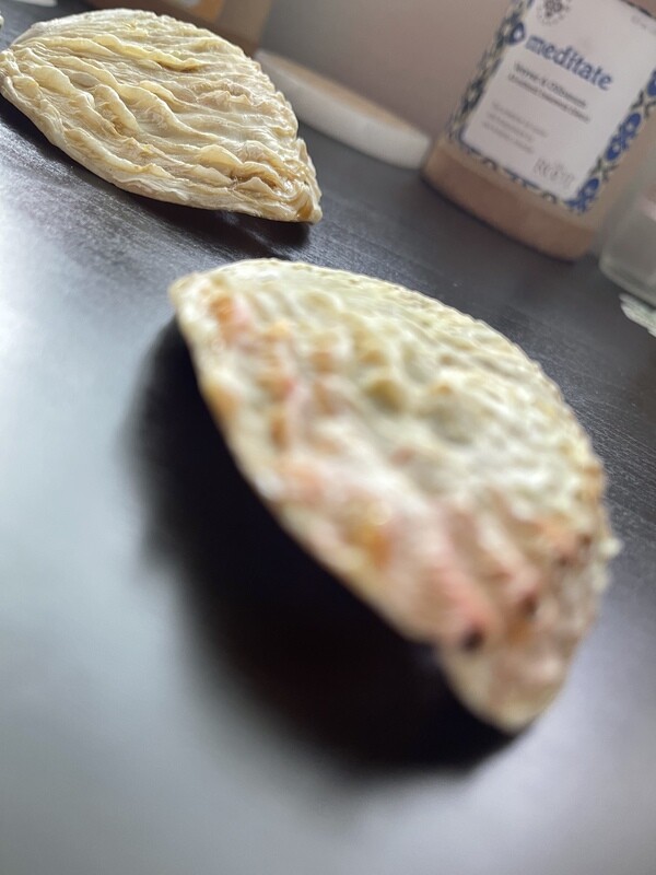 Midae Abalone Shell: Sacred Tool for Smudging, Energy Clearing, and Spiritual Connection