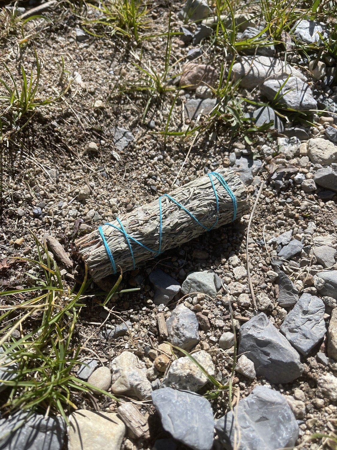 Blue Sage Smudging Bundle: Healing, Protection, and Spiritual Clarity