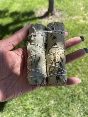 Eucalyptus & Rosemary Smudging Bundle: Clarity, Purification, and Uplifting Energy