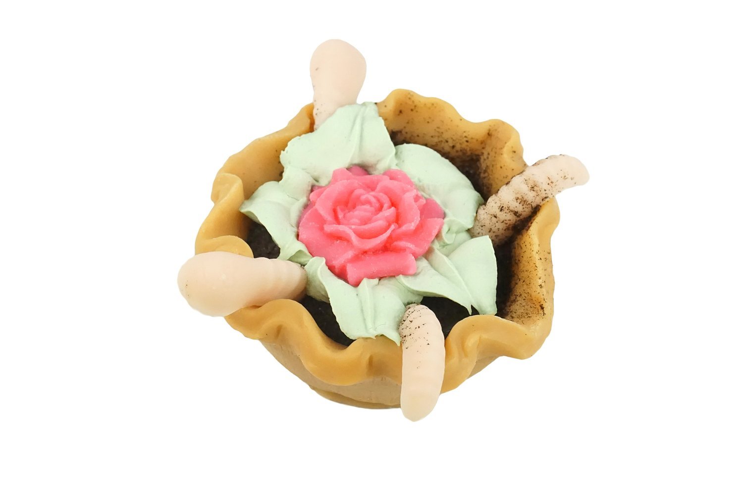 Spring Worm Tart