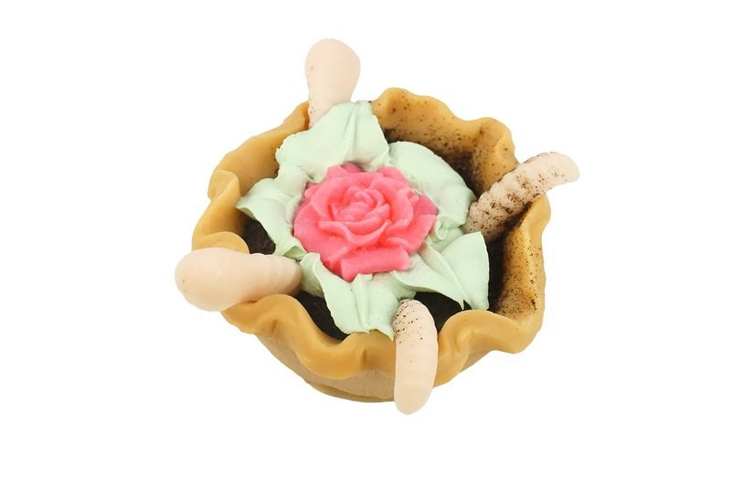 Spring Worm Tart