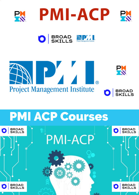 Project Management Professional Certification (PMP)