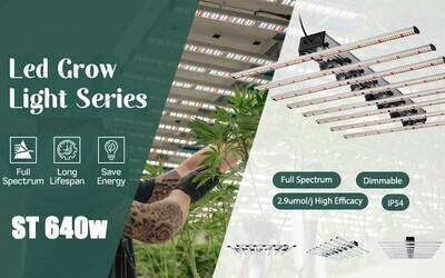 ST 640W LED Grow Light
