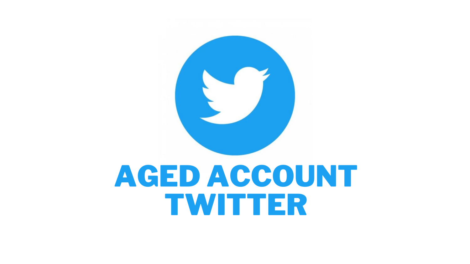 1 Account Twitter Aged