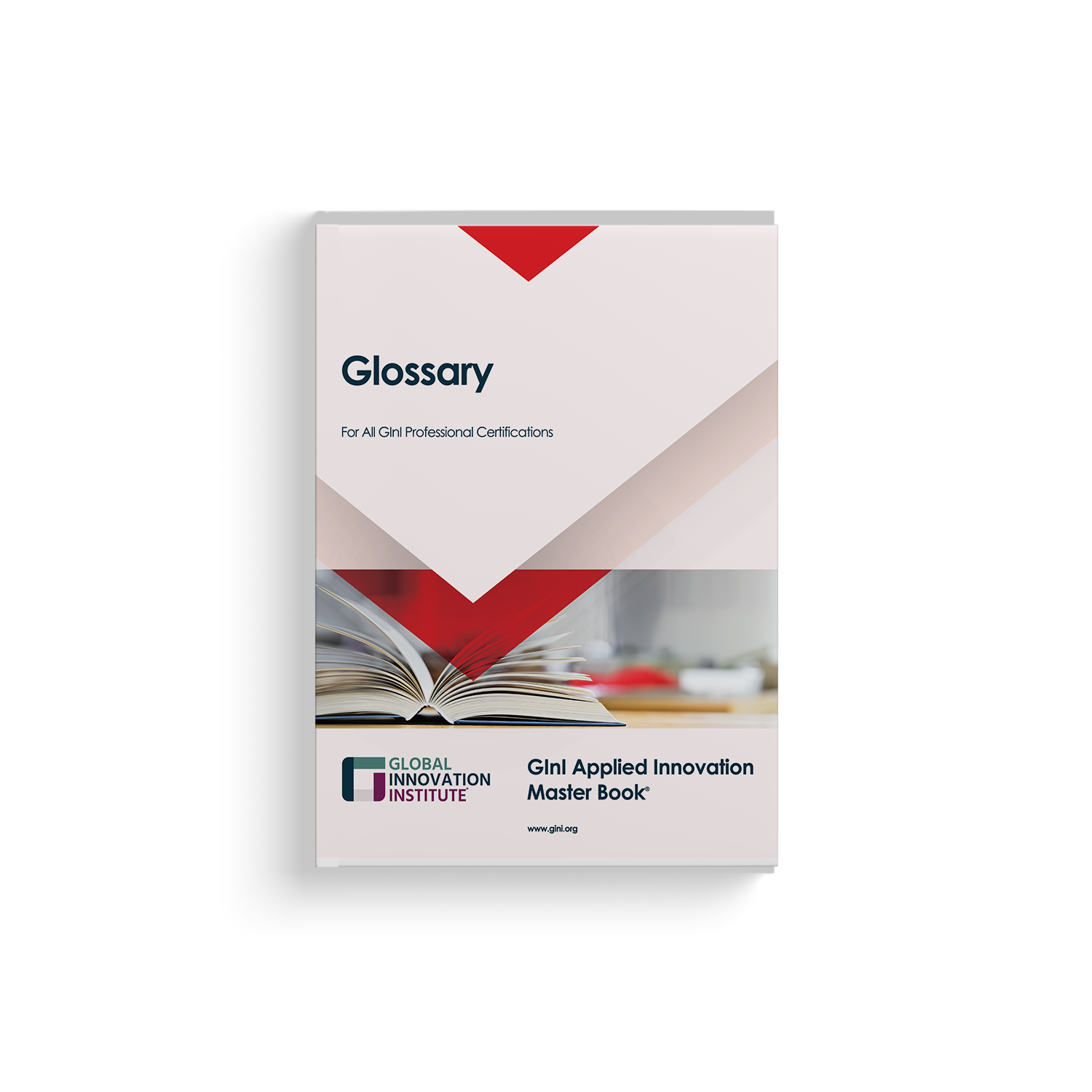 GInI Innovation Glossary (English)