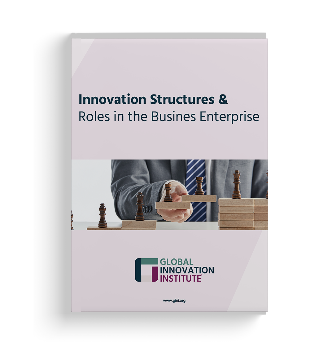 GInI - Innovation Structures &amp; Roles in the Business Enterprise