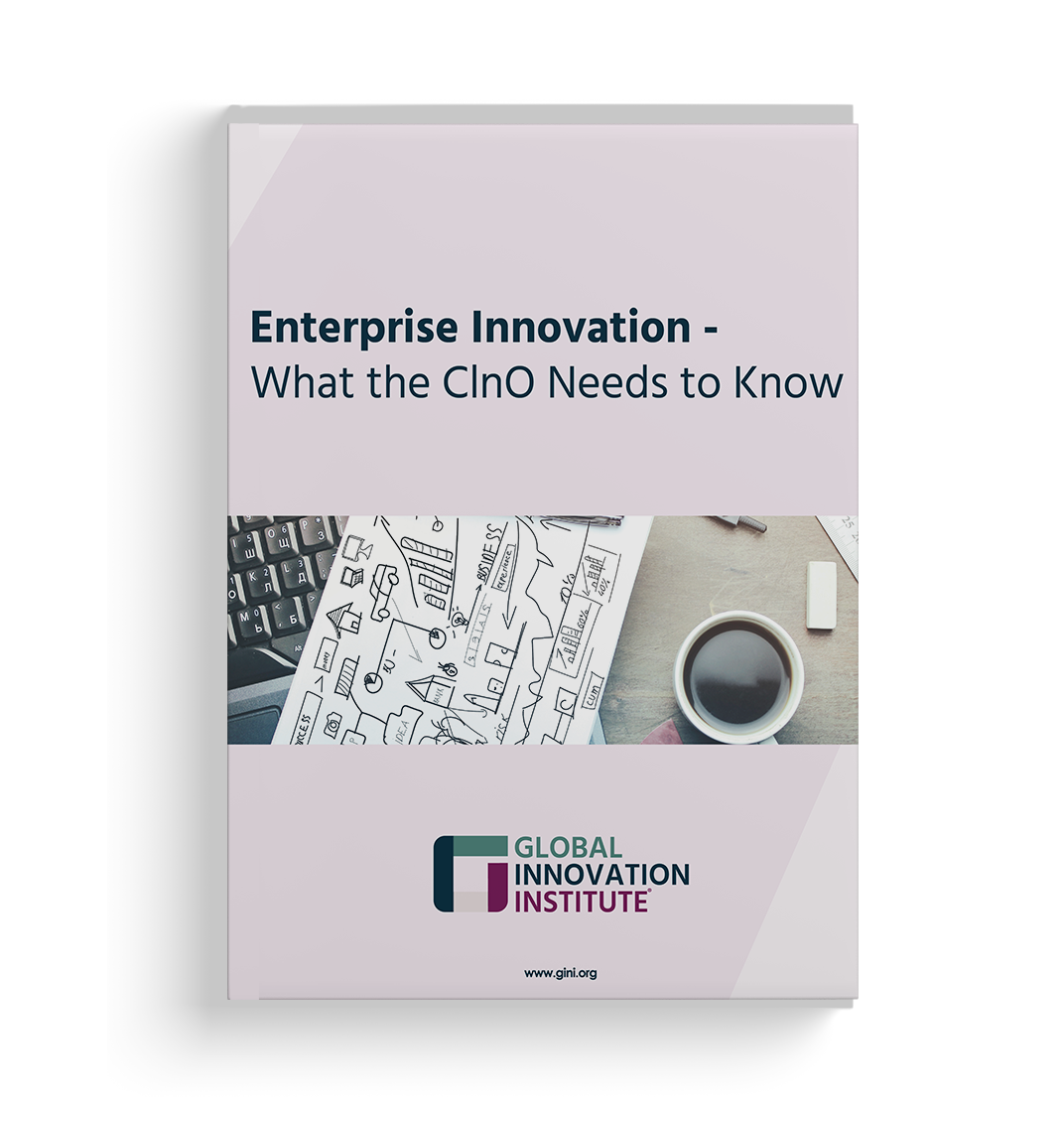 GInI - Enterprise Innovation - What the ClnO Needs to Know