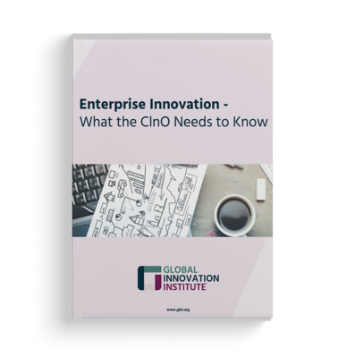 GInI - Enterprise Innovation - What the ClnO Needs to Know