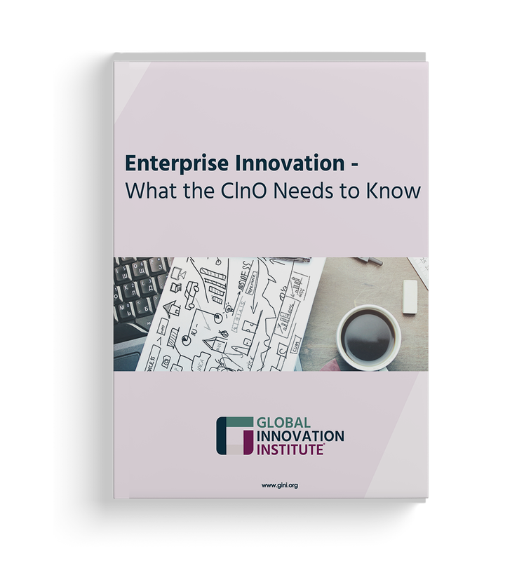 GInI - Enterprise Innovation - What the ClnO Needs to Know