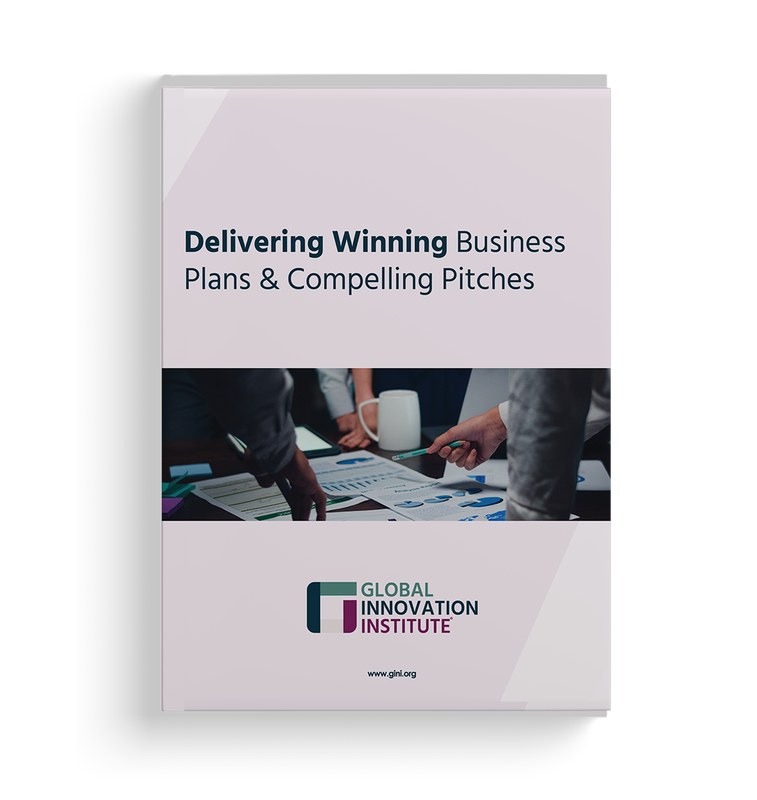 GInI - Delivering Winning Business Plans &amp; Compelling Pitches
