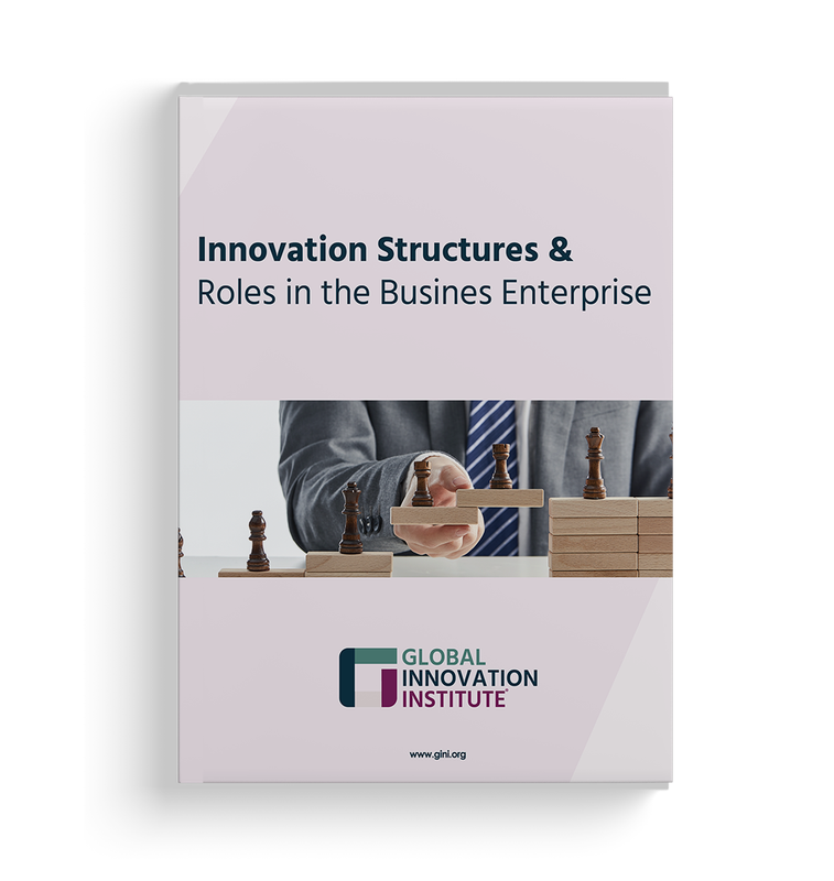 GInI - Innovation Structures &amp; Roles in the Business Enterprise