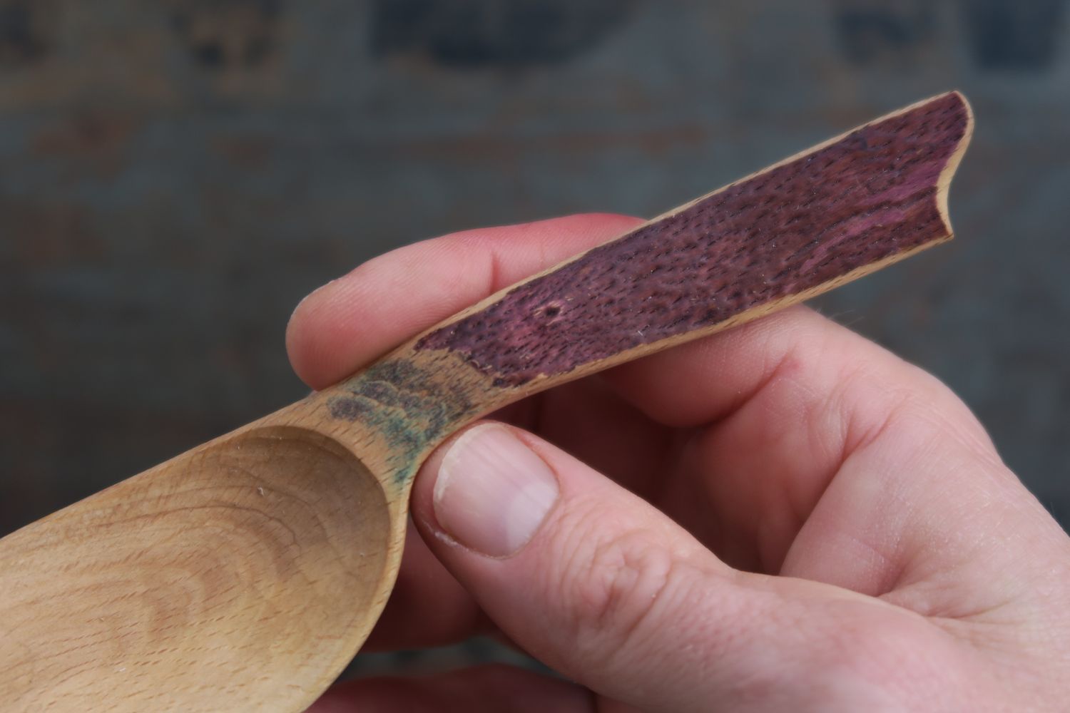 Beech - eating spoon