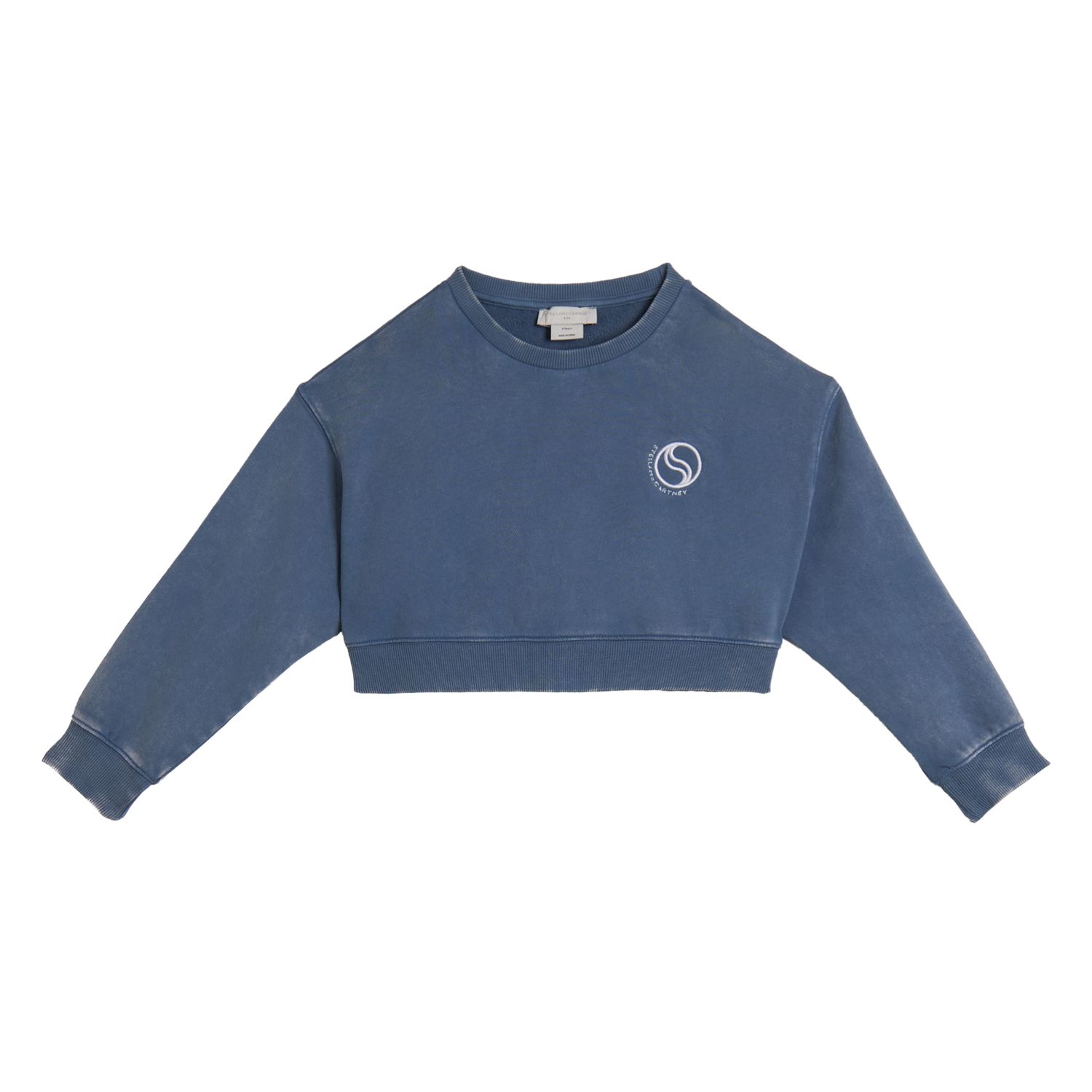 Stella McCartney Sweater TY4B90 blauw