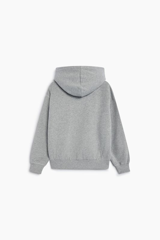 The New Society TNS logo hoodie grijs