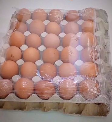 Mixed L & XL Farm Fresh Eggs – Straight from Our Nest to Your Table