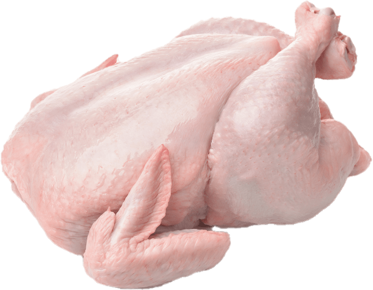 Slaughtered Broiler Chicken