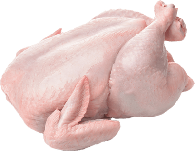 Slaughtered Broiler Chicken