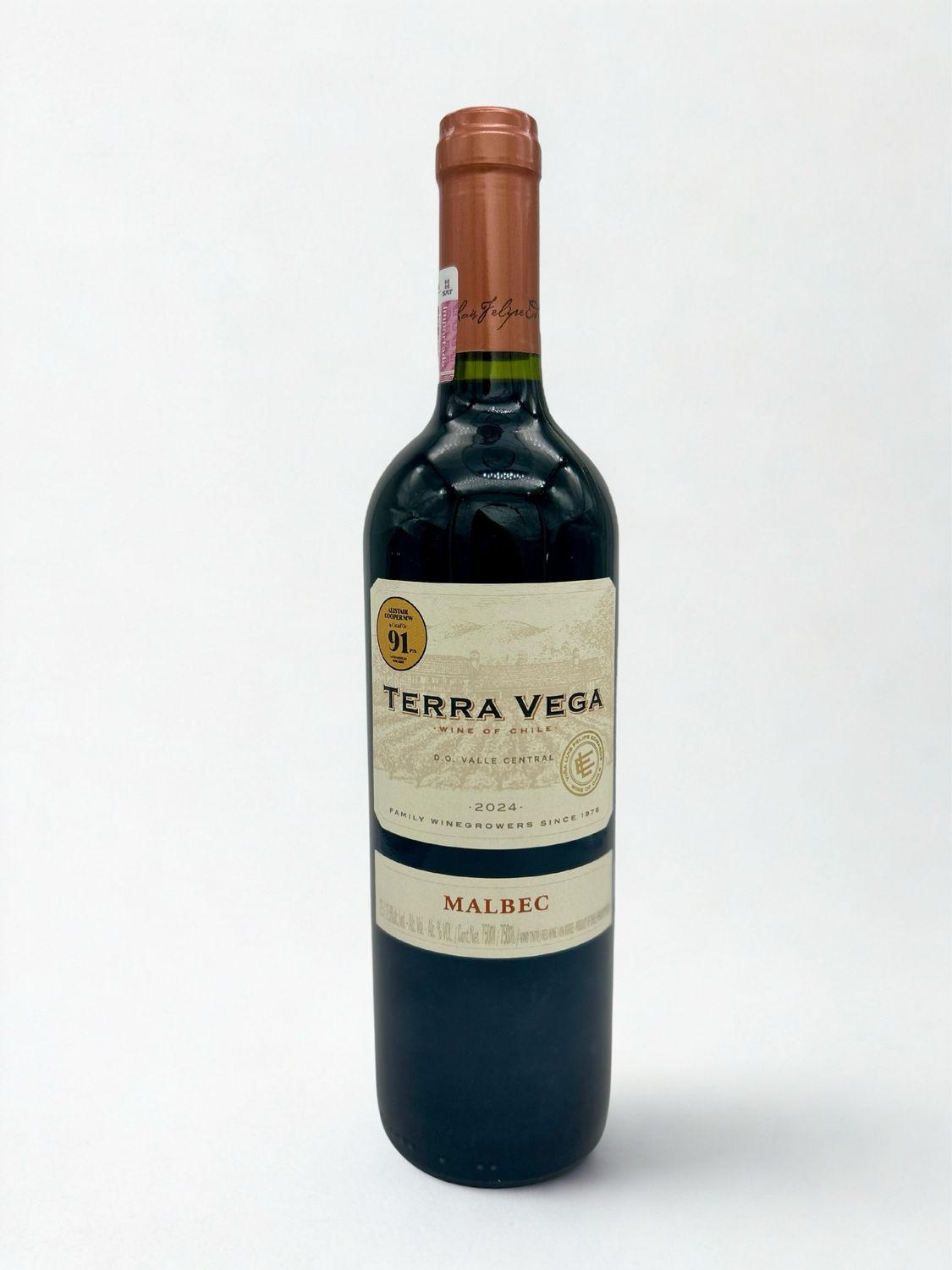 Vino Tinto Malbec Terra Vega 750ml