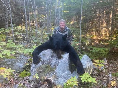 Maine Bear Hunt Sept 7-13 2025