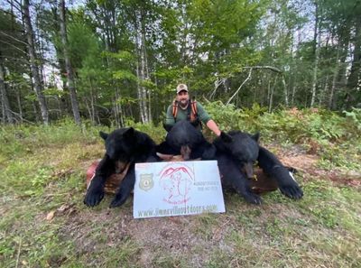 Maine Bear Trapping Week Sept 27 - Oct 3, 2026