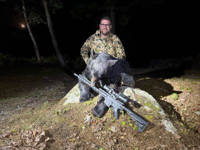Maine Bear Hunt September 2027