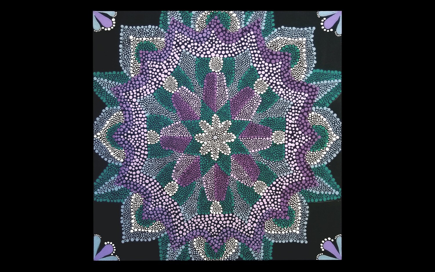 Violaceae