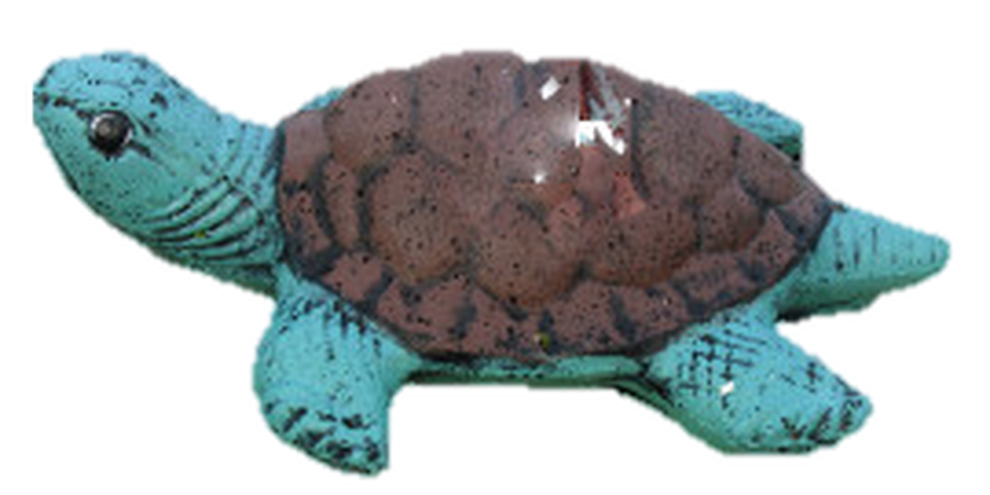 Sm. CMC Turtle