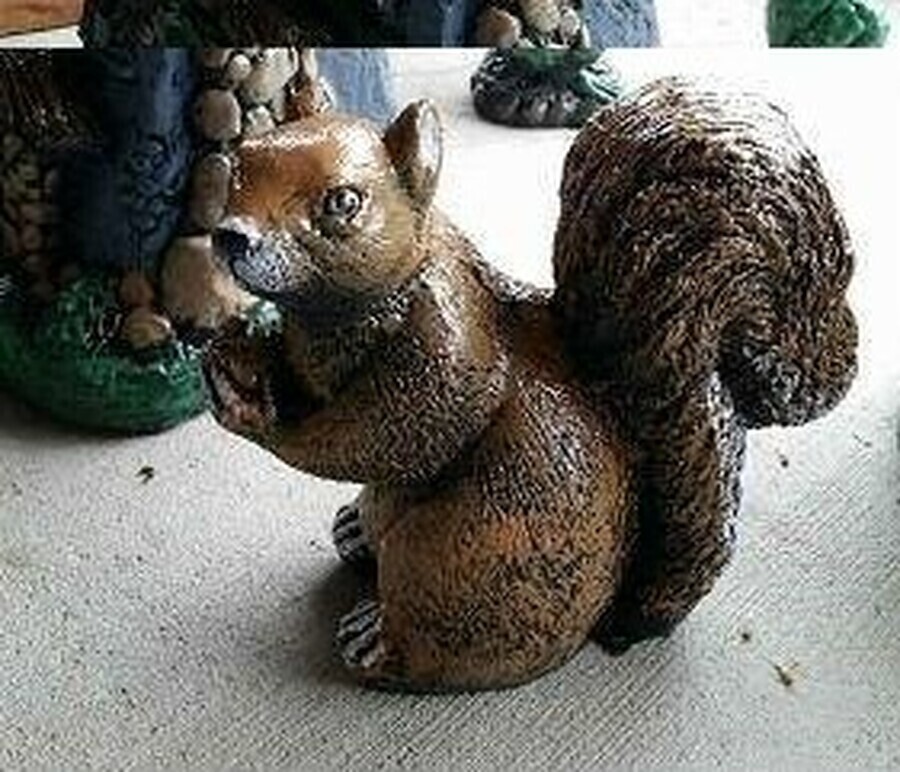 Furry Squirrel