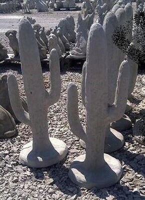 Sm. Cactus