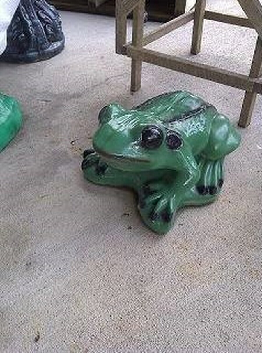 Lg. Smooth Frog