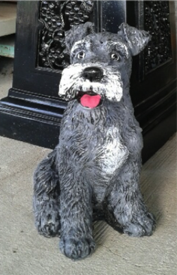 Schnauzer Sitting