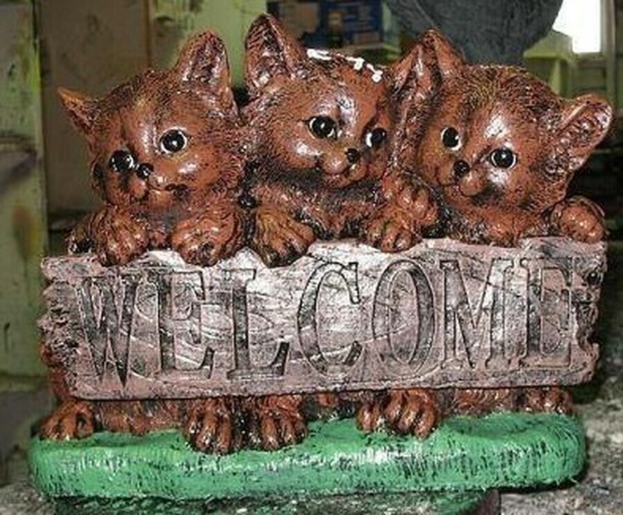 Welcome Cats
