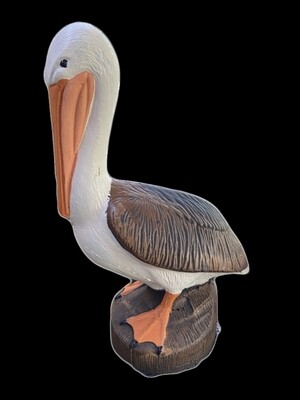 CMC Pelican