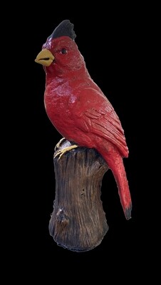 Sm. Detailed Cardinal
