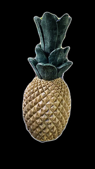 Southern Pineapple