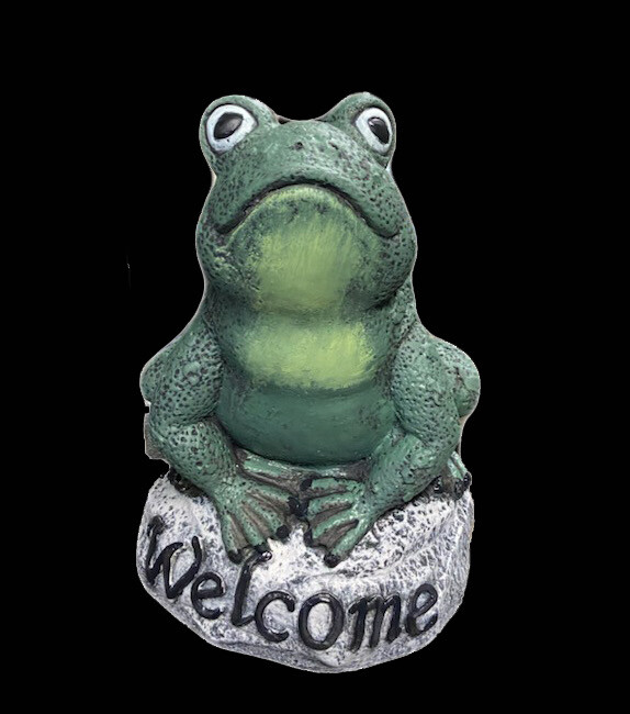 Welcome Frog Jumping