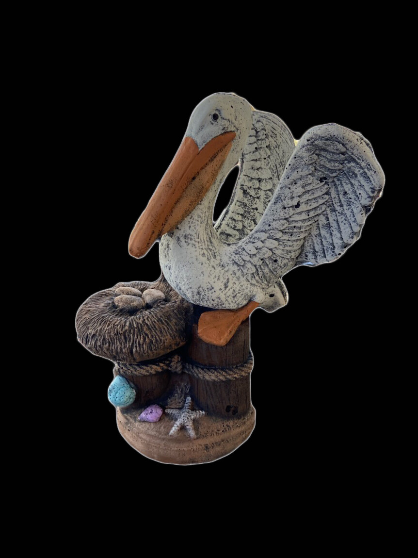 Pelican on Nest