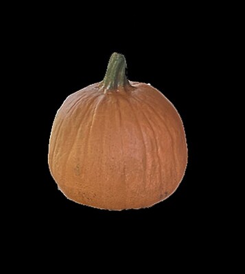 Sm. Real Pumpkin