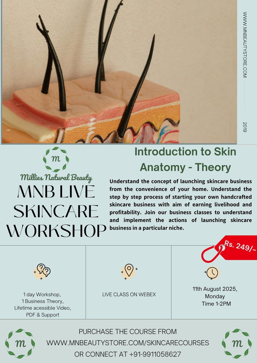 Introduction to Skin Anatomy - Business Module - LIVE WORKSHOP on 11th August 2025