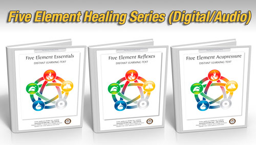 Five Element Healing Package, 18 hours (Digital Courses)