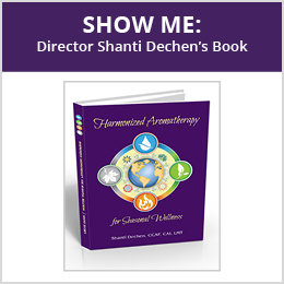 New Book by Shanti Dechen